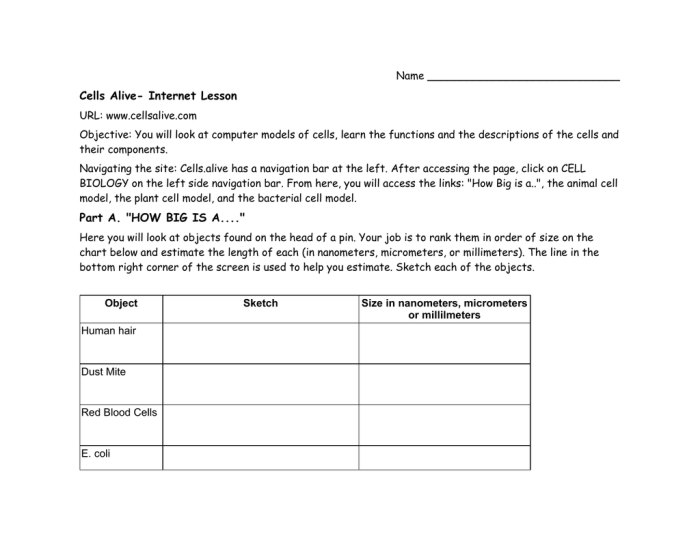 Cells alive webquest answer key