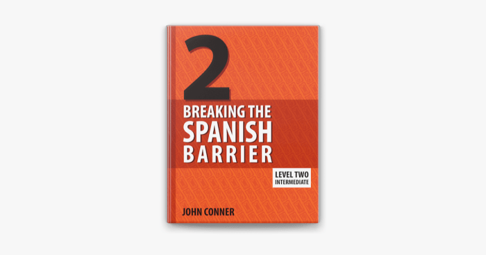 Breaking the spanish barrier level 2