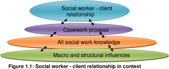 What is the client system in social work