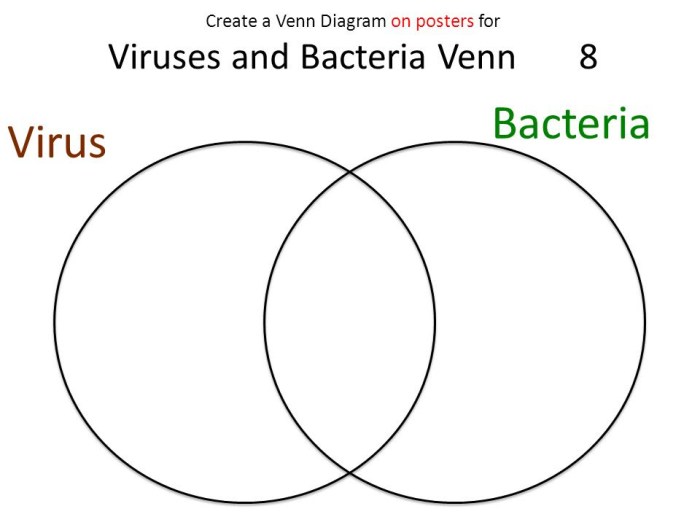 Bacteria venn difference viruses