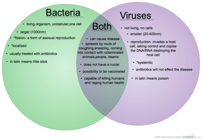 Venn diagram bacteria and virus