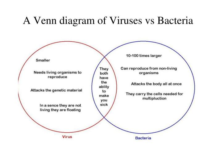 Venn diagram bacteria and virus