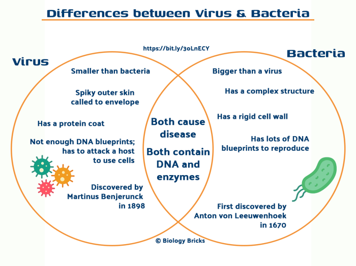 Bacteria venn viruses cells comparing