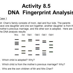 Fingerprinting gizmo answer key pdf