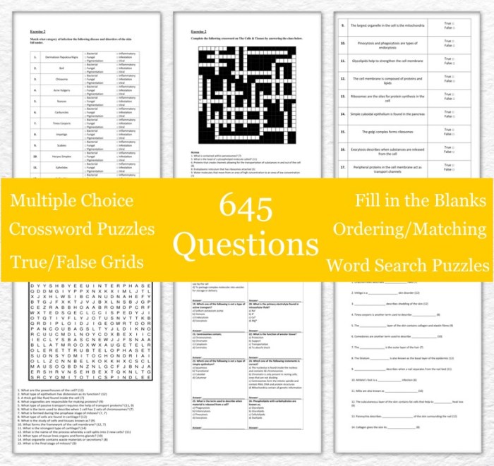 Skeletal system quiz with answers pdf