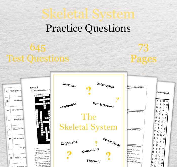 Skeletal system quiz with answers pdf