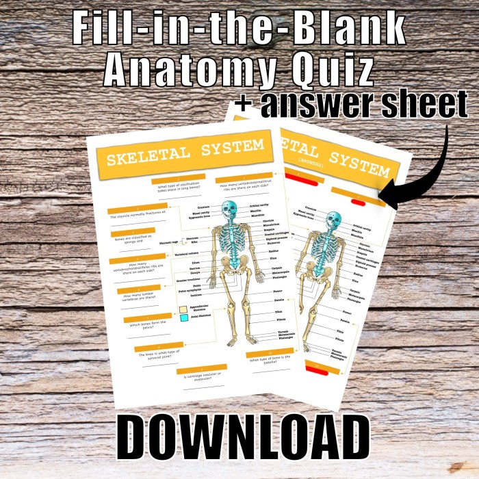 Skeletal system quiz with answers pdf