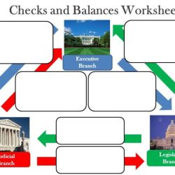 Checks and balances graphic organizer