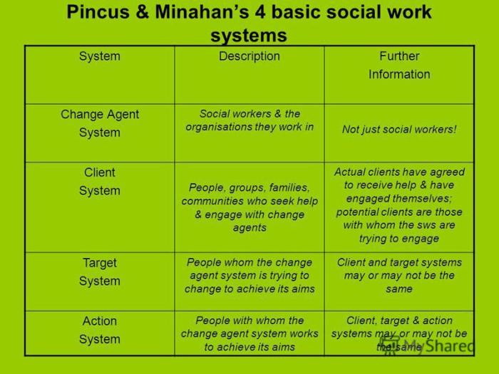 What is the client system in social work