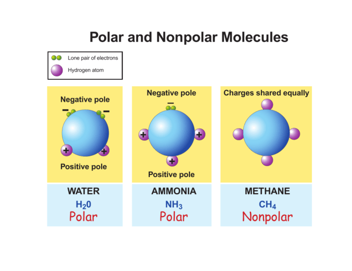 Polar nonpolar bonds mcat chemistry dipole bond covalent ccl compound schoolbag info each chemical cl moments socratic will four bonding