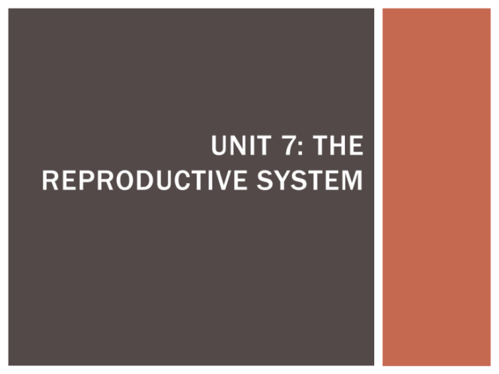 The reproductive system chapter 16 answer key