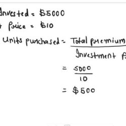 At the time he purchased his variable annuity ahmed