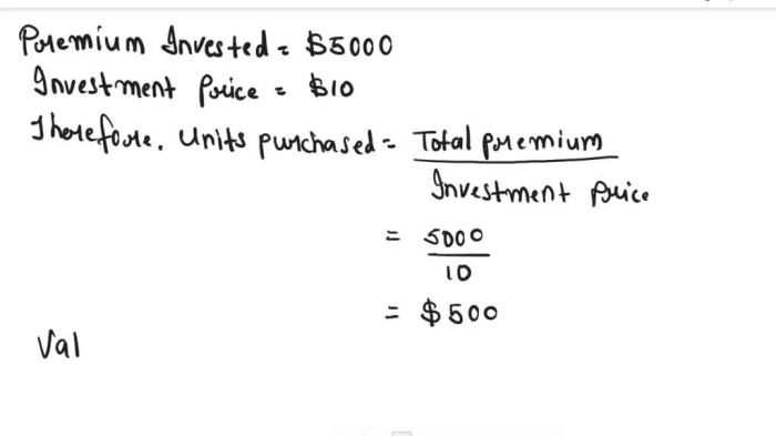 At the time he purchased his variable annuity ahmed