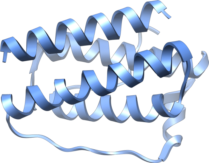 Which hormone does not directly regulate human reproductive cycles